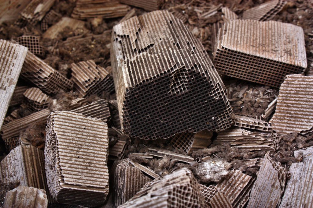 Innenleben eines Katalysators