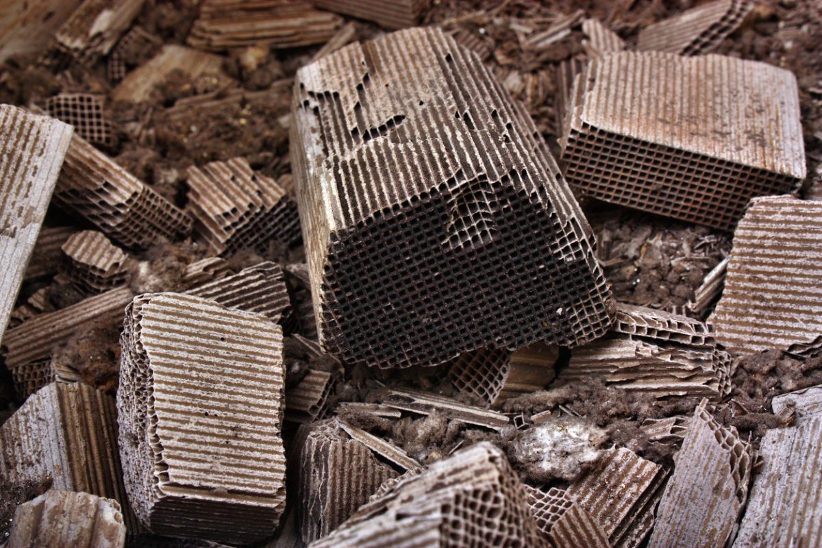 Innenleben eines Katalysators