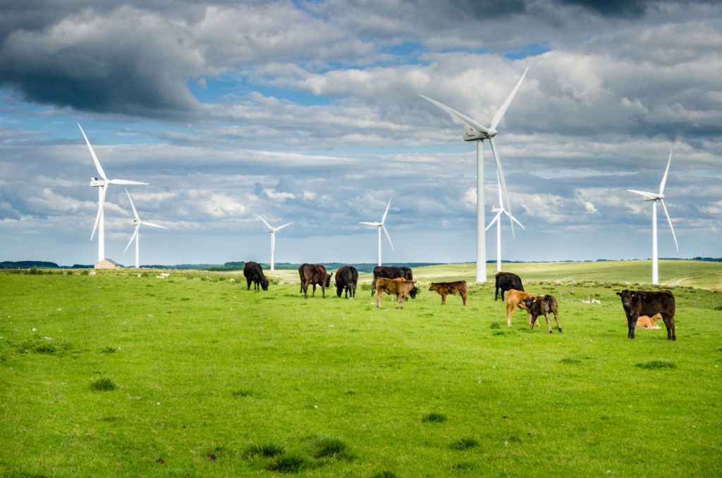 Windkraftanlage und Umwelt