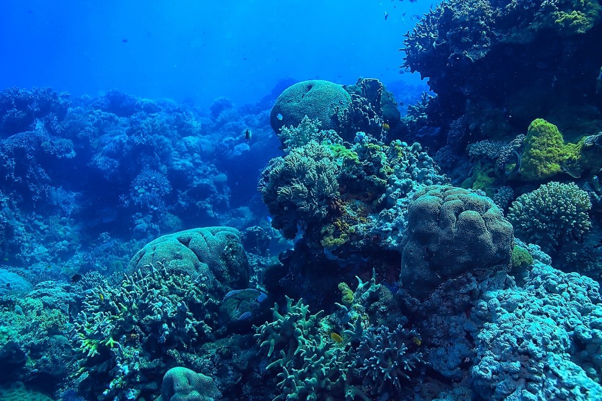 Symbolbild Unterwasser