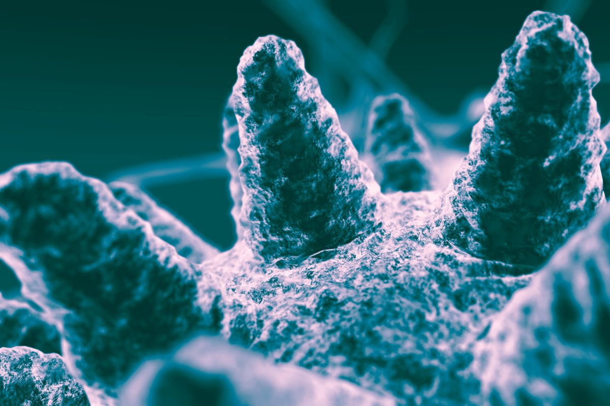 Mikrobe (Symbolbild)