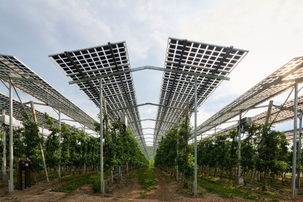 Agri-PV-Kressbronn Fraunhofer ISE Solar auf dem Feld