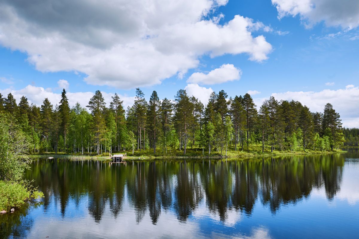Finnland Bergbau Landschaft Umweltschutz